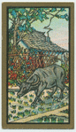 Fables