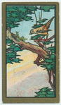 Fables