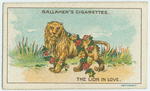 The lion in love.