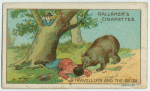 The travellers and the bear.