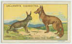 Fables and their morals