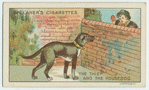 The thief and the house dog.