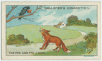 The fox and the crow.