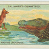 The fox and the crocodile.