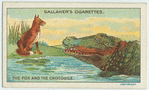 The fox and the crocodile.