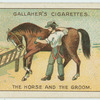 The horse and the groom.