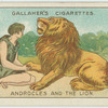 Androcoles and the lion.