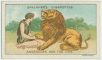 Androcoles and the lion.