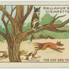 The cat and the fox.