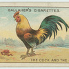 The cock and the jewel.