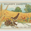The lark and her young ones.