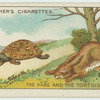 The hare and the tortoise.
