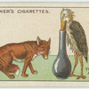 The fox and the stork.