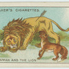 The bowman and the lion.