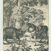 [Fable] of the boar and the ass