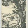 [Fable] of the fox and the cock