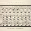 Abydos (Harabah el-Madfouneh). Tableau des ancêtres ou prédécesseurs de Ramsès II.