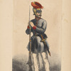 Italy. Papal States, 1860-1868