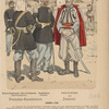 Italy. Papal States, 1860-1868
