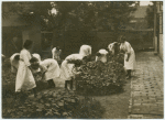 Tending to plants in a courtyard.