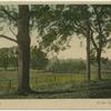 de Lutte, Bij den Koppelboer. [View of pasture land.]