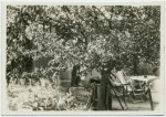 Dr. Charlotte Steinberger's garden, view of the the picnic table, October, 1930.