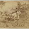 Women farmers