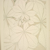 Leaves and Flowers from Nature Ornament no. 1: Horse-chestnut leaves, full size.