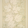 Leaves and Flowers from Nature Ornament no. 2: Vine-leaves, full size.