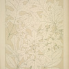 Leaves and Flowers from Nature Ornament no. 4: Leaves of the Oak, Fig Tree, Maple, White Bryony, Laurel, and Bay-tree, full size.
