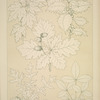 Leaves and Flowers from Nature Ornament no. 5: Leaves of the Vine, Hollyoak, Turkey Oak and Laburnum, full size.
