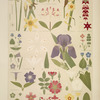 Leaves and Flowers from Nature Ornament no. 8: Various flowers in plan and elevations.