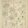 Leaves and Flowers from Nature Ornament no. 9: Honeysuckle and Convolvulus, full size.