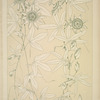 Leaves and Flowers from Nature Ornament no. 10: Passion flowers.