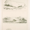 Hamadān. Fragment d'un lion; Vue et fragments de construction.