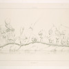 Chapour. Bas-relief D.
