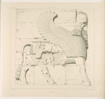 Persépolis. Portique no. 1. Taureau à tête humaine, vu de profil.