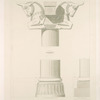 Persépolis. Palais no. 2. Détails de colonnes.