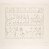 Persépolis. Palais no. 2. Bas-relief du mur de soutènement, à droite de l'escalier du centre.
