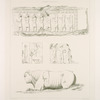 Persépolis. Fragment du palais no. 4 (bas-relief); Palais no. 5 (bas-reliefs et fragment de taureau.)