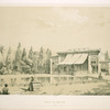 Palais de Bagh-Nô, Chiraz.