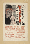 New York Sunday herald. Nov 3rd.