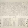 Die Löwen an den Aussenwänden der Tempel von Philae, Theben und Dendera mit den dazu gehörigen Inschriften.