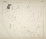 Einige Darstellungen der vorhergehenden Tafeln aus dem Terrassentempel von Dêr-el bah'eri in der Originalgrösse des Denkmals.