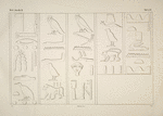 Einige Darstellungen der vorhergehenden Tafeln aus dem Terrassentempel von Dêr-el bah'eri in der Originalgrösse des Denkmals.