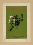 The forest.