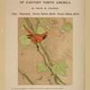 Handbook of birds of eastern north America.