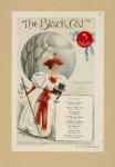 The black cat. November 1895.