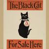 The black cat.