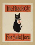 The black cat.